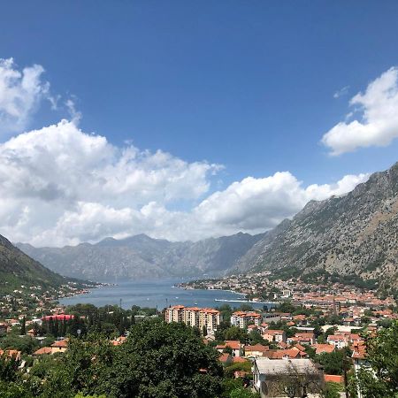 Apartman Savo Kotor Zewnętrze zdjęcie